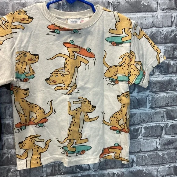 Zara T-shirts - Picture 3 of 9